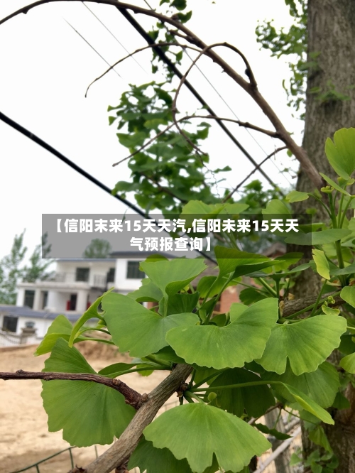 【信阳末来15天天汽,信阳未来15天天气预报查询】