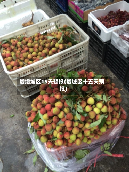 增增城区15天预报(增城区十五天预报)