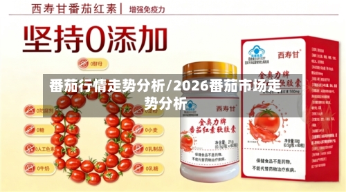 番茄行情走势分析/2026番茄市场走势分析
