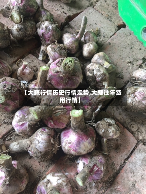 【大蒜行情历史行情走势,大蒜往年费用行情】