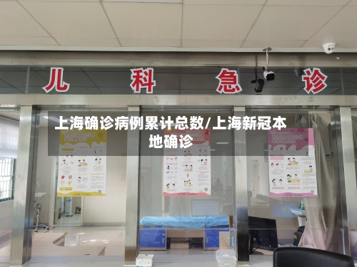 上海确诊病例累计总数/上海新冠本地确诊