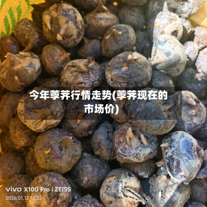 今年荸荠行情走势(荸荠现在的市场价)
