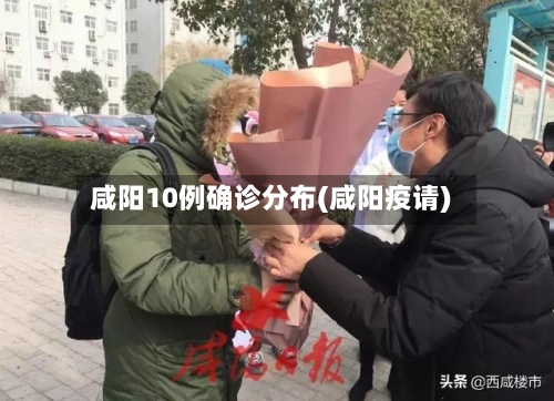 咸阳10例确诊分布(咸阳疫请)