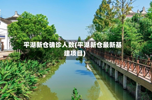 平湖新仓确诊人数(平湖新仓最新基建项目)