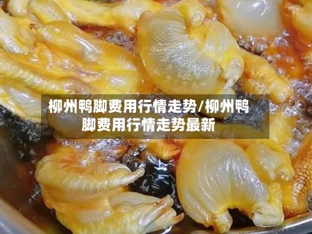 柳州鸭脚费用行情走势/柳州鸭脚费用行情走势最新