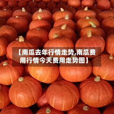 【南瓜去年行情走势,南瓜费用行情今天费用走势图】