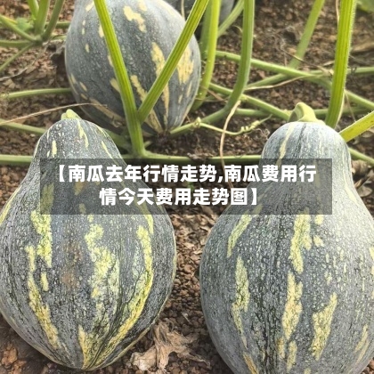 【南瓜去年行情走势,南瓜费用行情今天费用走势图】