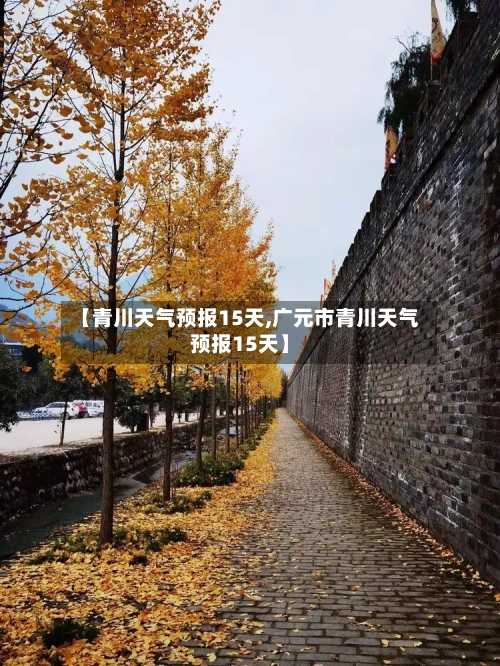 【青川天气预报15天,广元市青川天气预报15天】