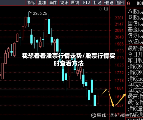 我想看看股票行情走势/股票行情实时查看方法
