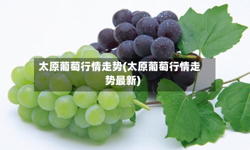 太原葡萄行情走势(太原葡萄行情走势最新)
