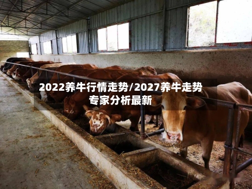 2022养牛行情走势/2027养牛走势专家分析最新