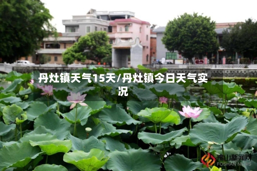 丹灶镇天气15天/丹灶镇今日天气实况