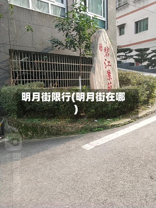 明月街限行(明月街在哪)