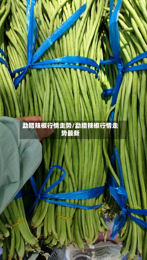 勐腊辣椒行情走势/勐腊辣椒行情走势最新