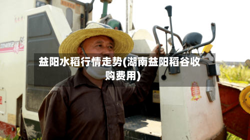 益阳水稻行情走势(湖南益阳稻谷收购费用)