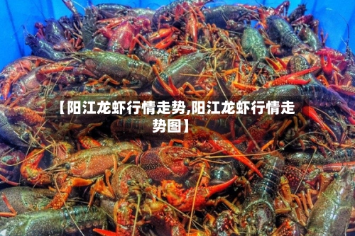 【阳江龙虾行情走势,阳江龙虾行情走势图】