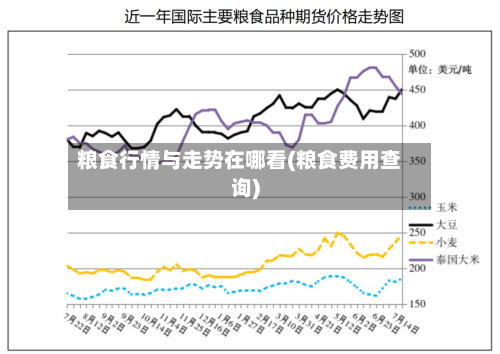 粮食行情与走势在哪看(粮食费用查询)