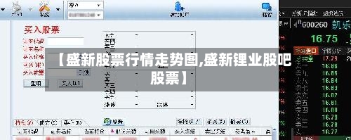 【盛新股票行情走势图,盛新锂业股吧股票】