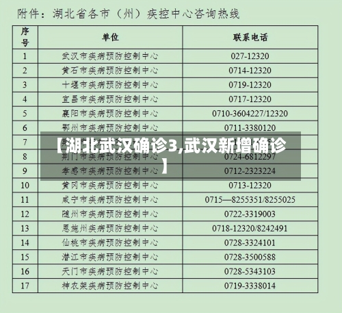 【湖北武汉确诊3,武汉新增确诊】