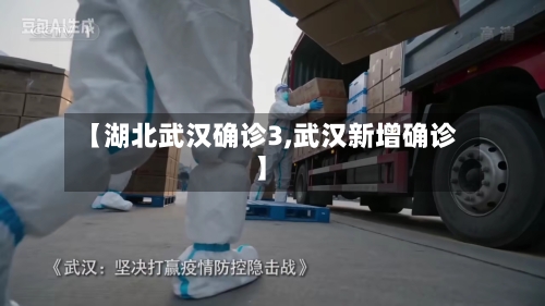 【湖北武汉确诊3,武汉新增确诊】