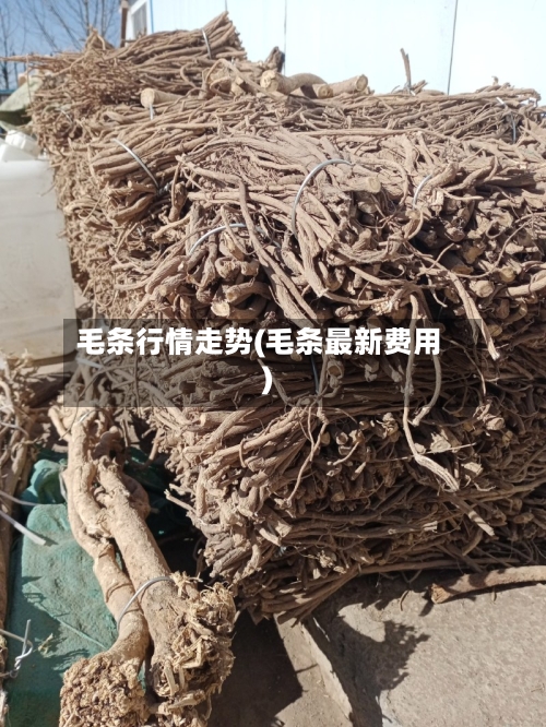 毛条行情走势(毛条最新费用)