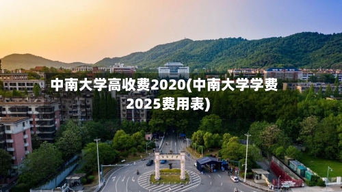 中南大学高收费2020(中南大学学费2025费用表)