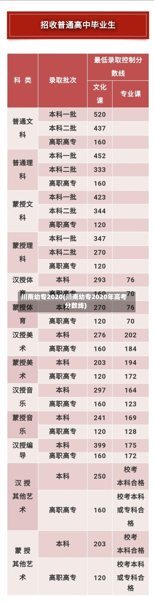 川南幼专2020(川南幼专2020年高考分数线)