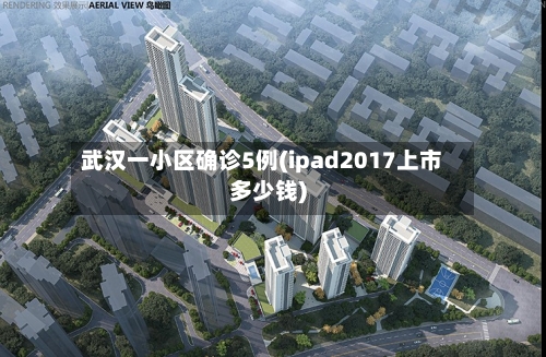 武汉一小区确诊5例(ipad2017上市多少钱)