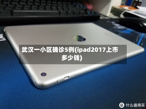 武汉一小区确诊5例(ipad2017上市多少钱)