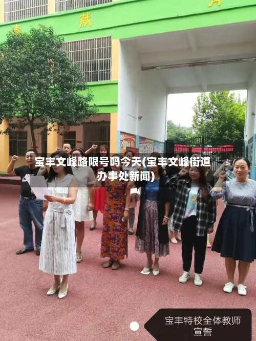宝丰文峰路限号吗今天(宝丰文峰街道办事处新闻)