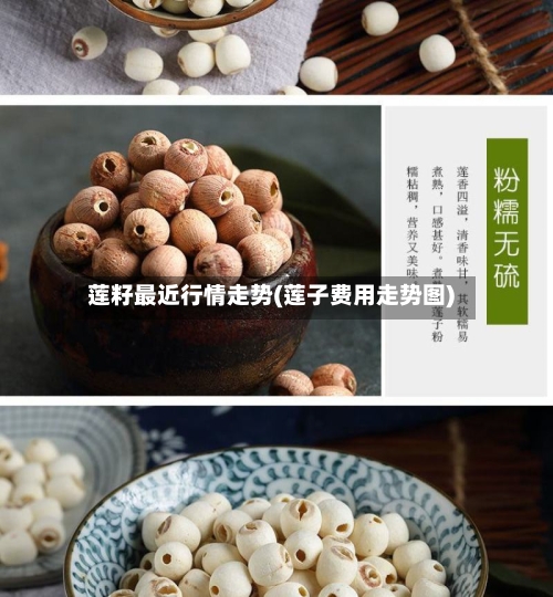 莲籽最近行情走势(莲子费用走势图)