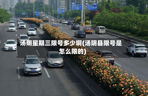 汤阴星期三限号多少啊(汤阴县限号是怎么限的)