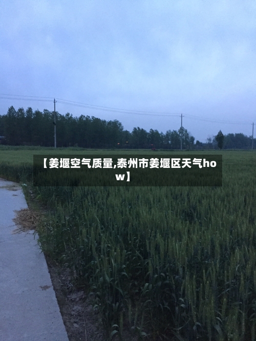 【姜堰空气质量,泰州市姜堰区天气how】