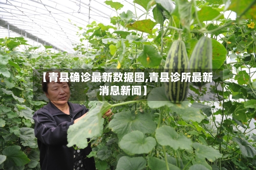 【青县确诊最新数据图,青县诊所最新消息新闻】