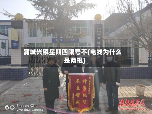 蒲城兴镇星期四限号不(电线为什么是两根)