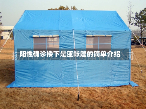 阳性确诊楼下是蓝帐篷的简单介绍