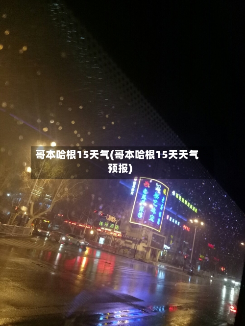 哥本哈根15天气(哥本哈根15天天气预报)