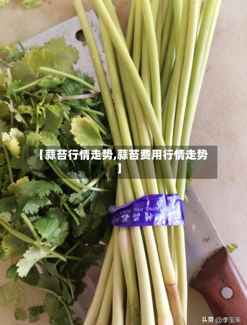 【蒜苔行情走势,蒜苔费用行情走势】