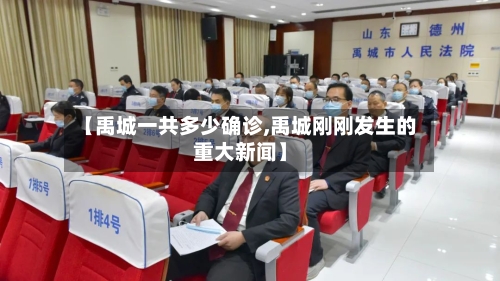 【禹城一共多少确诊,禹城刚刚发生的重大新闻】