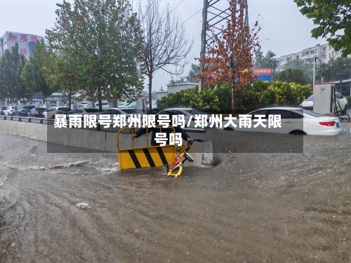 暴雨限号郑州限号吗/郑州大雨天限号吗