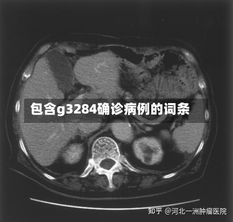 包含g3284确诊病例的词条