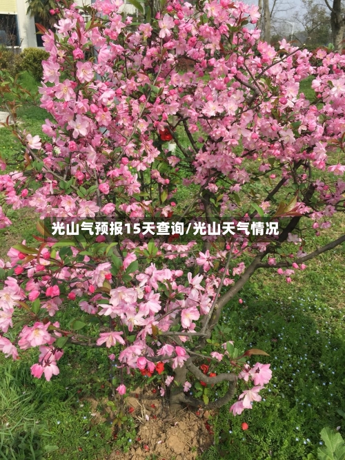 光山气预报15天查询/光山天气情况