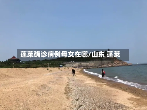 蓬莱确诊病例母女在哪/山东 蓬莱