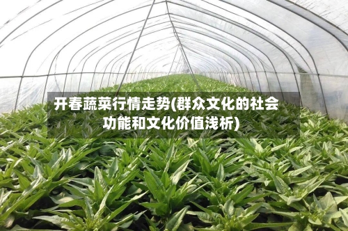 开春蔬菜行情走势(群众文化的社会功能和文化价值浅析)