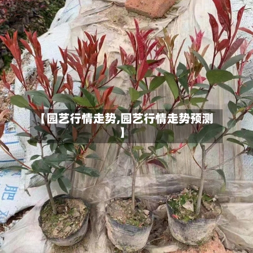 【园艺行情走势,园艺行情走势预测】