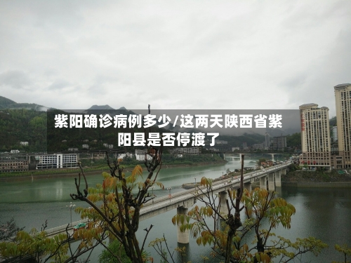 紫阳确诊病例多少/这两天陕西省紫阳县是否停渡了