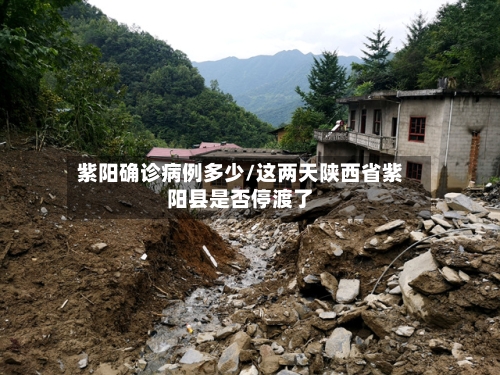 紫阳确诊病例多少/这两天陕西省紫阳县是否停渡了