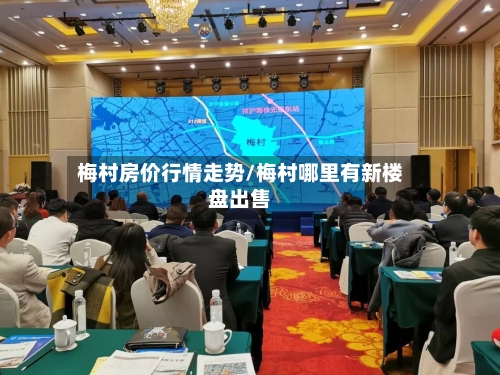 梅村房价行情走势/梅村哪里有新楼盘出售