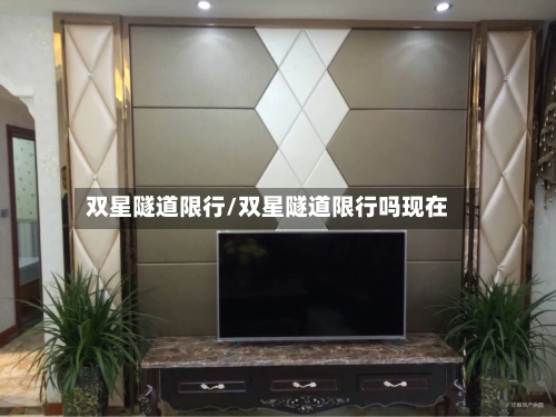 双星隧道限行/双星隧道限行吗现在