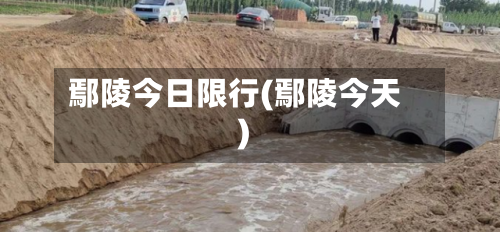 鄢陵今日限行(鄢陵今天)
